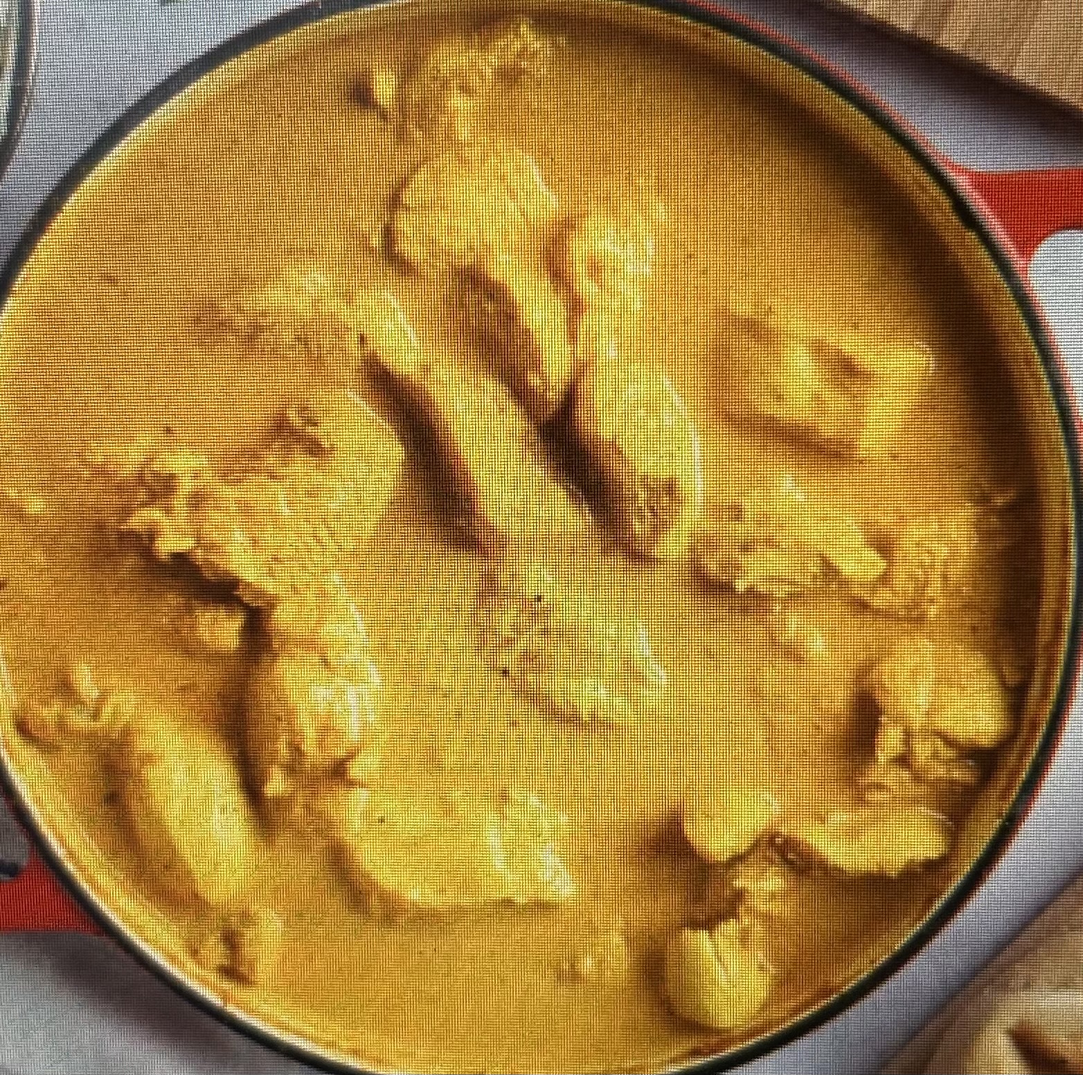 Lamb Korma 